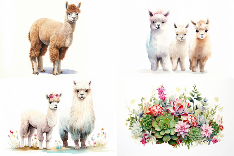 llamas-and-alpacas