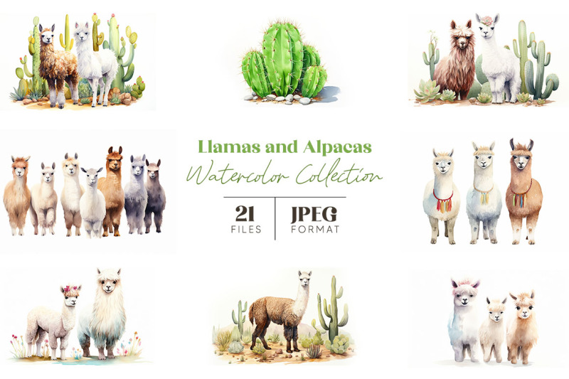 llamas-and-alpacas