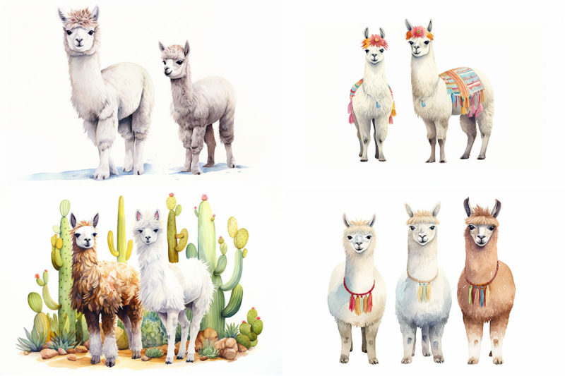 llamas-and-alpacas