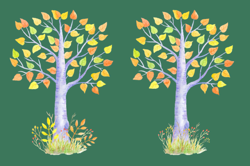 autumn-birch-guest-signing-tree