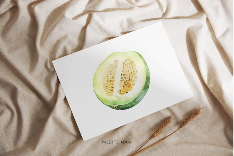 watercolor-fruits