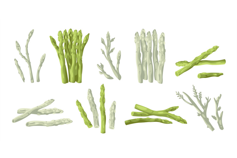 asparagus-collection-organic-whole-stalk-cultivated-and-uncooked-food