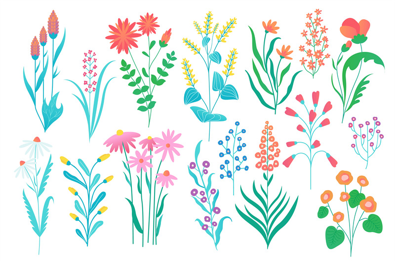 field-flowers-collection-summer-and-autumn-flora-cartoon-floral-gard