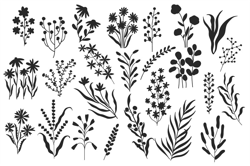 wild-flowers-silhouette-minimalistic-floral-botanical-elements-natur