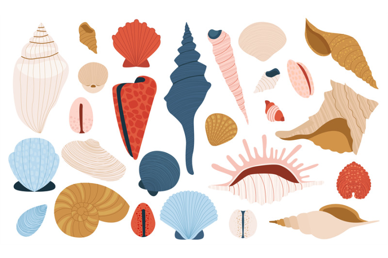 sea-shells-cartoon-colorful-marine-shells-nautical-marine-shellfish