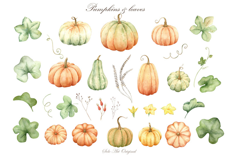 pumpkins-fall-leaves-thanksgiving-day-october-autumn-season