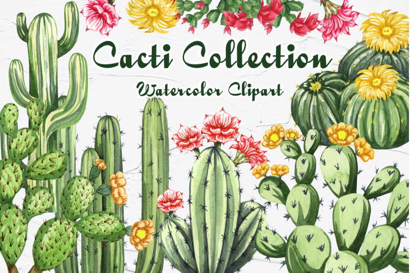 cactus-watercolor-clipart-succulent-png