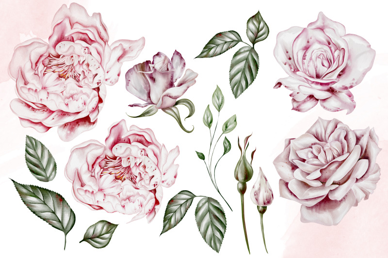 watercolor-tender-roses