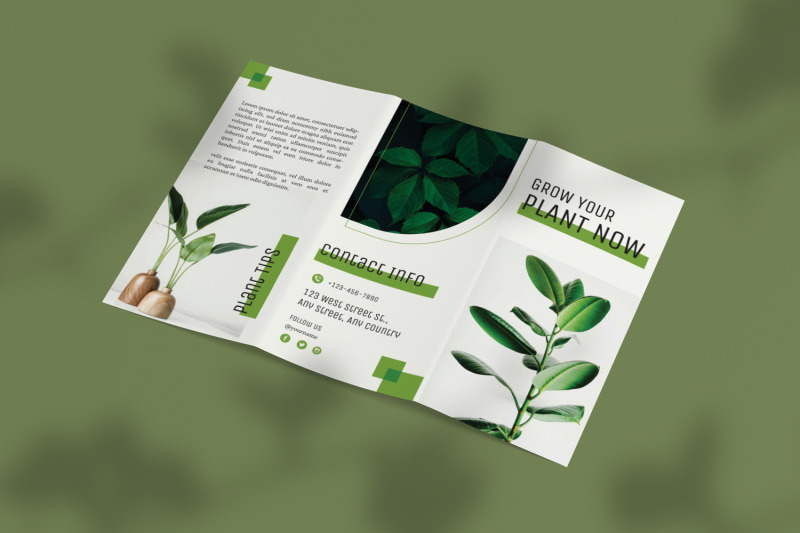 plant-trifold-brochure