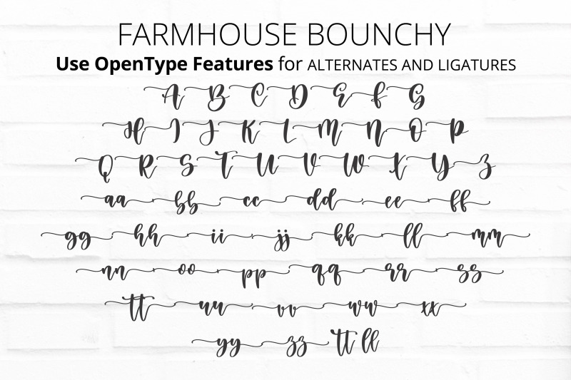 farmhouse-bouncy-a-christmas-font-duo
