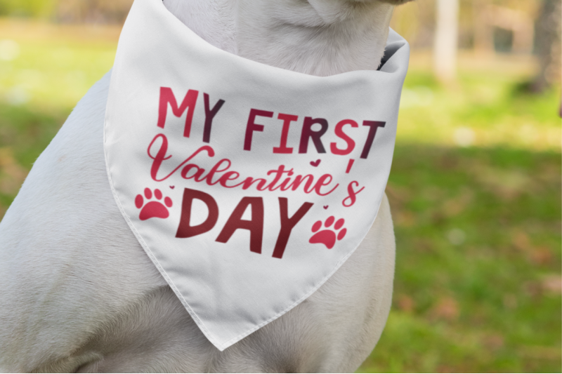 dog-bandana-valentine-039-s-day-svg-bundle