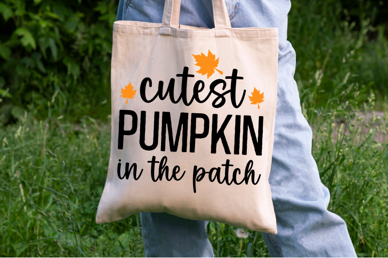 fall-svg-bundle