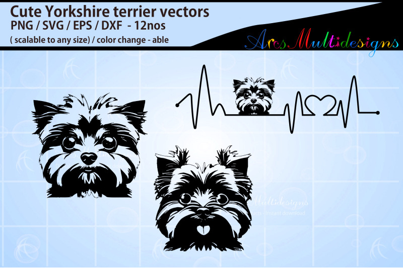 yorkshire-terrier-dog-bundle