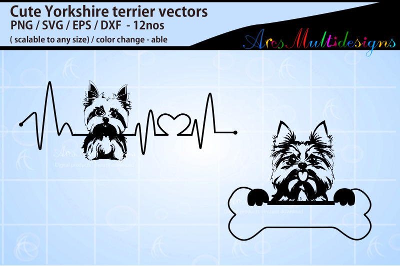 yorkshire-terrier-dog-bundle
