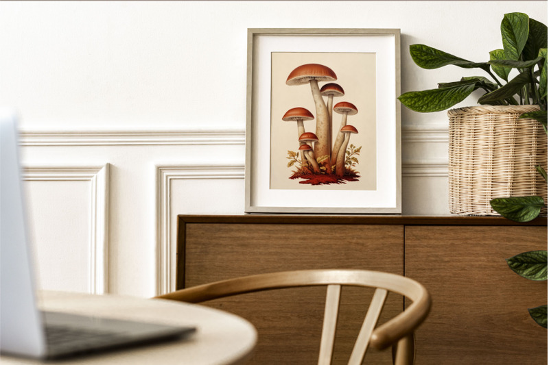 vintage-mushroom-prints