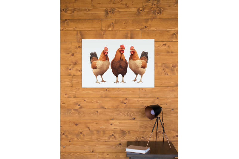 farm-animals-png-chickens-illustrations-for-sublimation