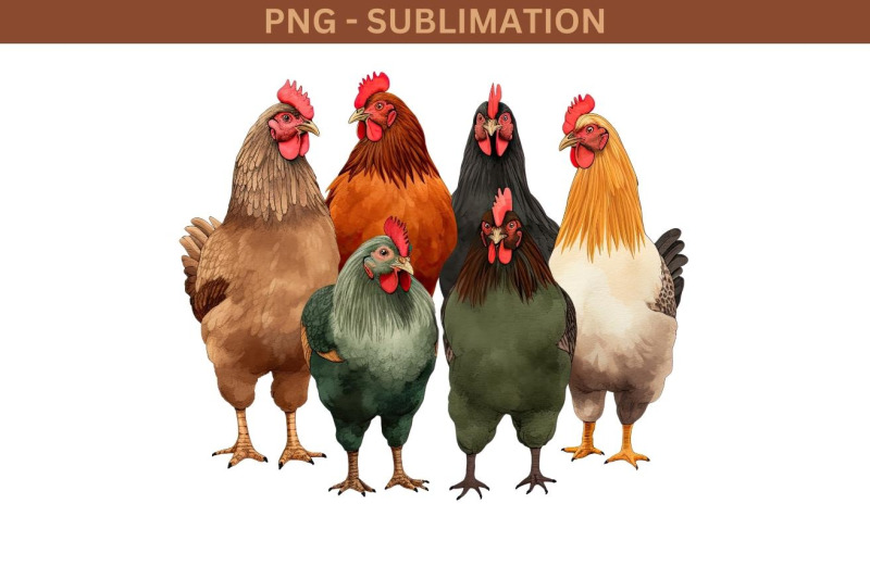 chicken-graphic-digital-downloads-sublimation-print-for-chicken-lover