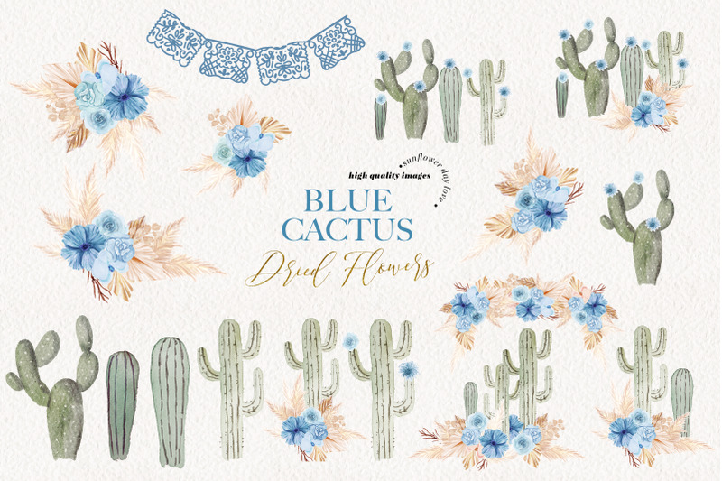 cactus-blue-dried-floral-pampas-grass-clipart