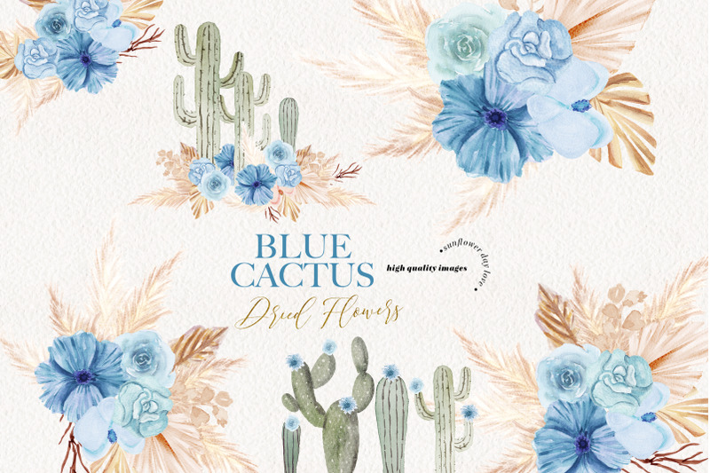 cactus-blue-dried-floral-pampas-grass-clipart