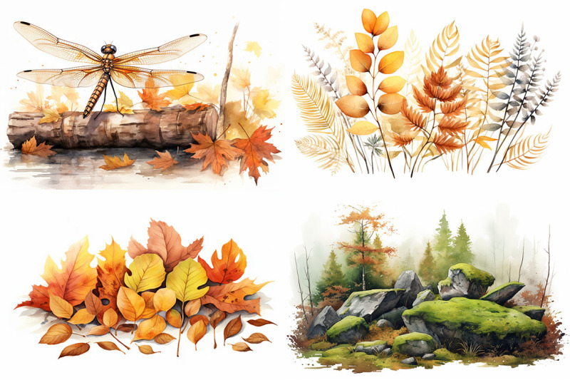 autumn-forest