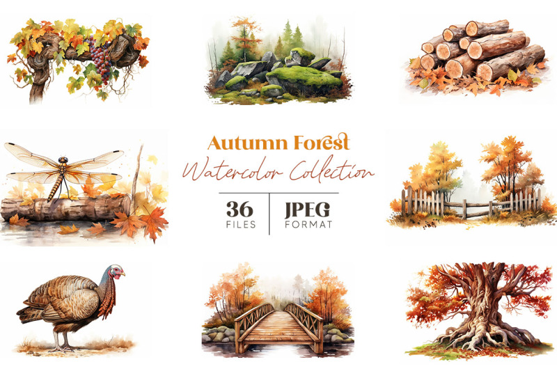 autumn-forest