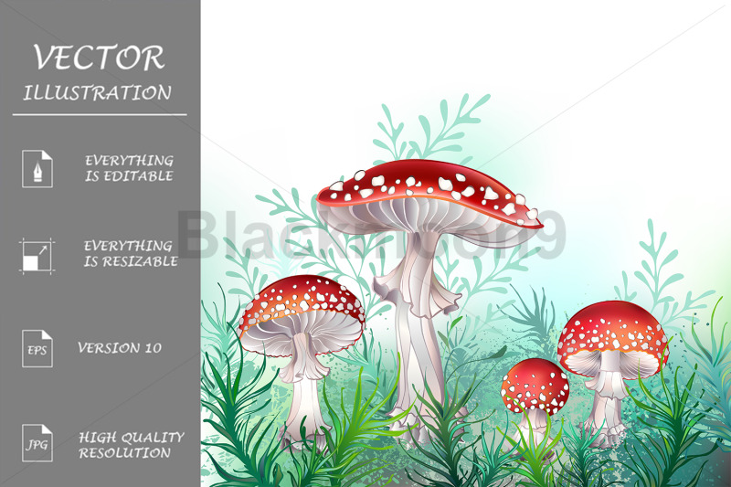 four-red-fly-agaric