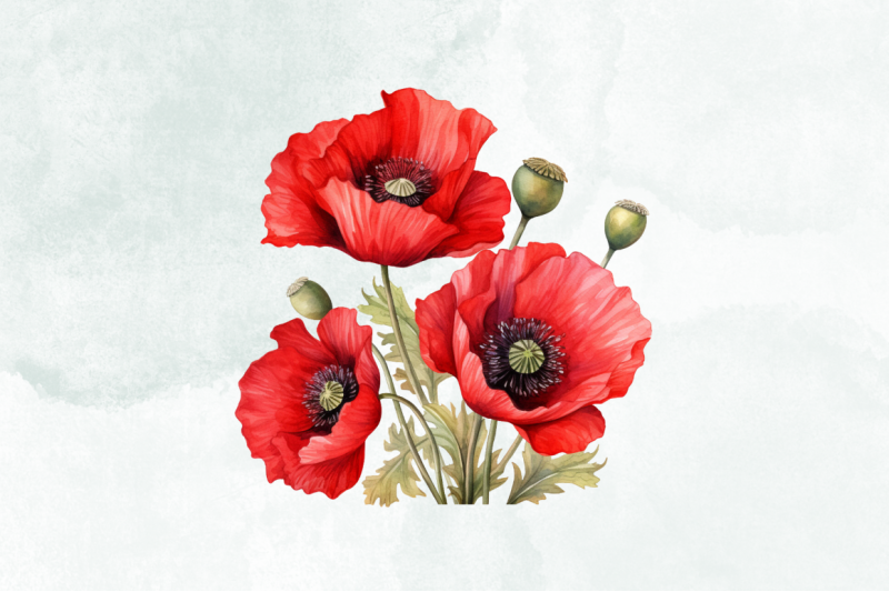 red-poppies-watercolor-sublimation