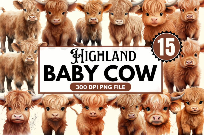 baby-highland-cow-illustrations-clipart-bundle