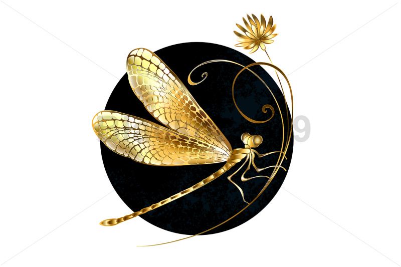 golden-dragonfly-in-black-circle