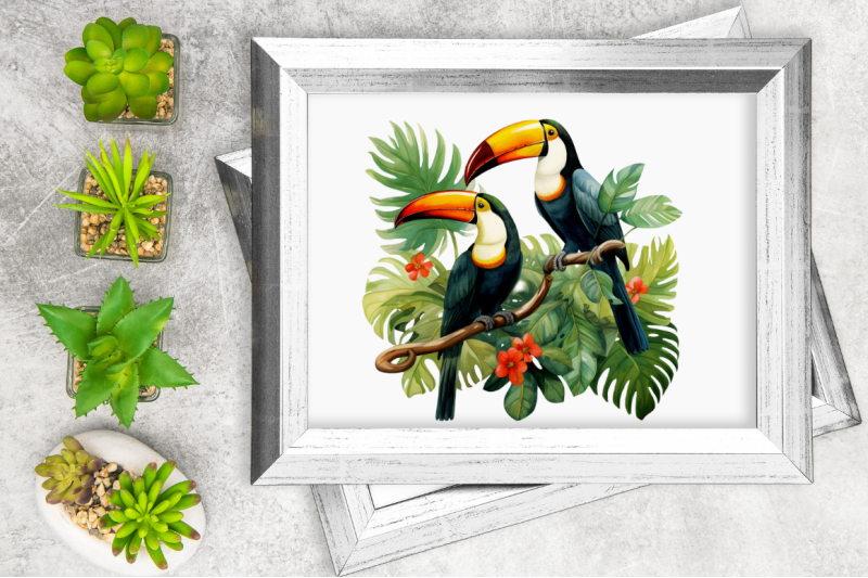 toucans-in-rainforest-sublimation-clipart-bundle