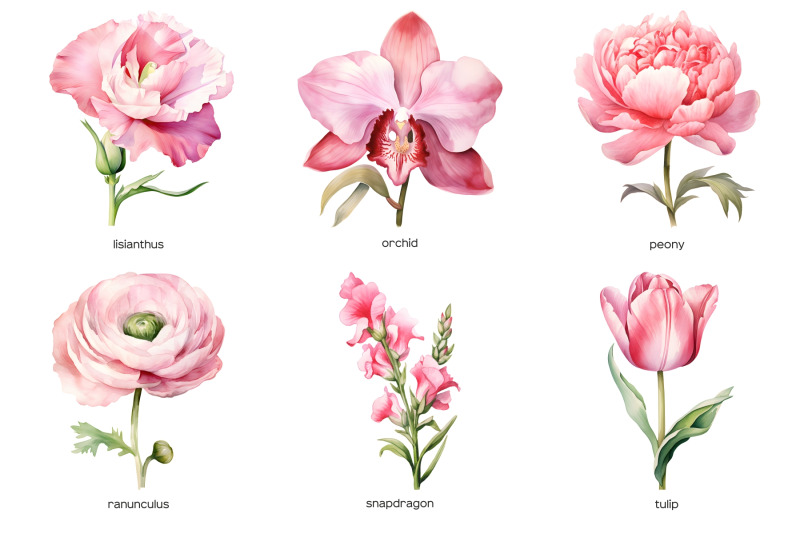 watercolor-pink-wedding-flowers-clipart-pastel-pink-flower-clip-art