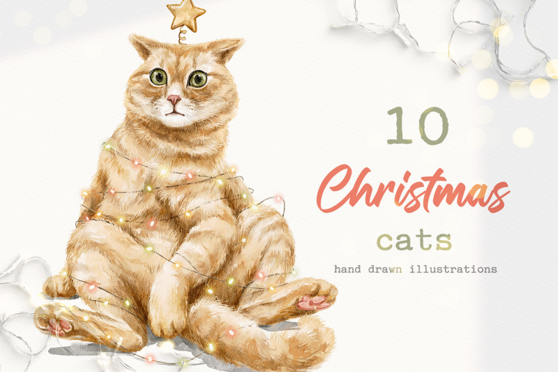 christmas-cats