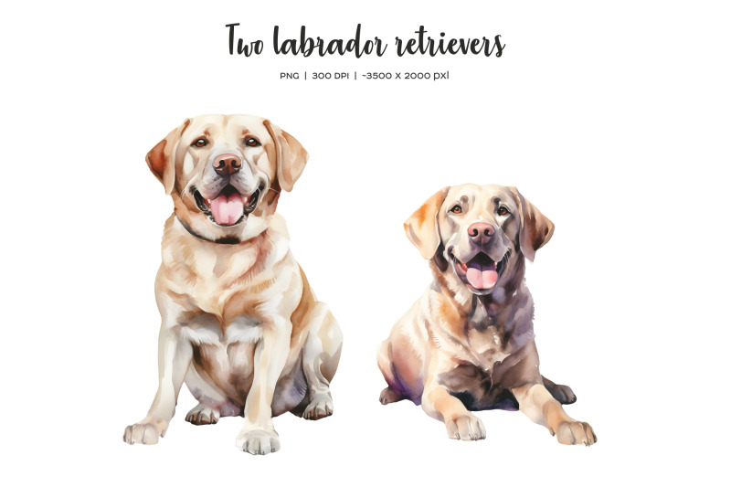 watercolor-christmas-labrador-retriever-clipart-xmas-labrador