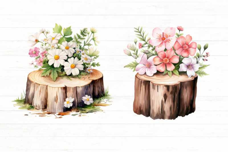 flower-wooden-stump-watercolor-clipart