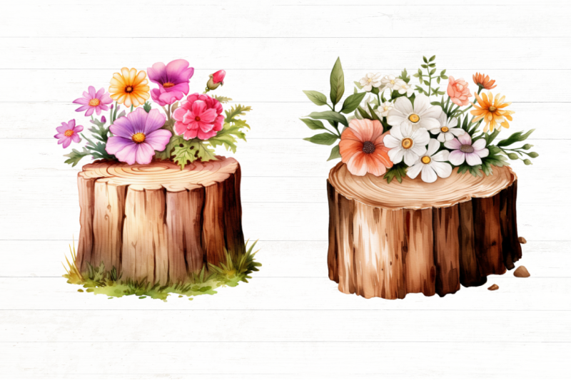 flower-wooden-stump-watercolor-clipart