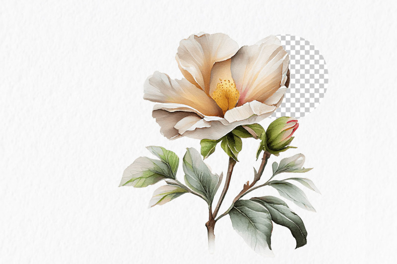 neutral-flower-watercolor-clipart-png