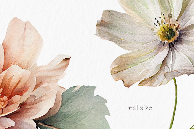 neutral-flower-watercolor-clipart-png