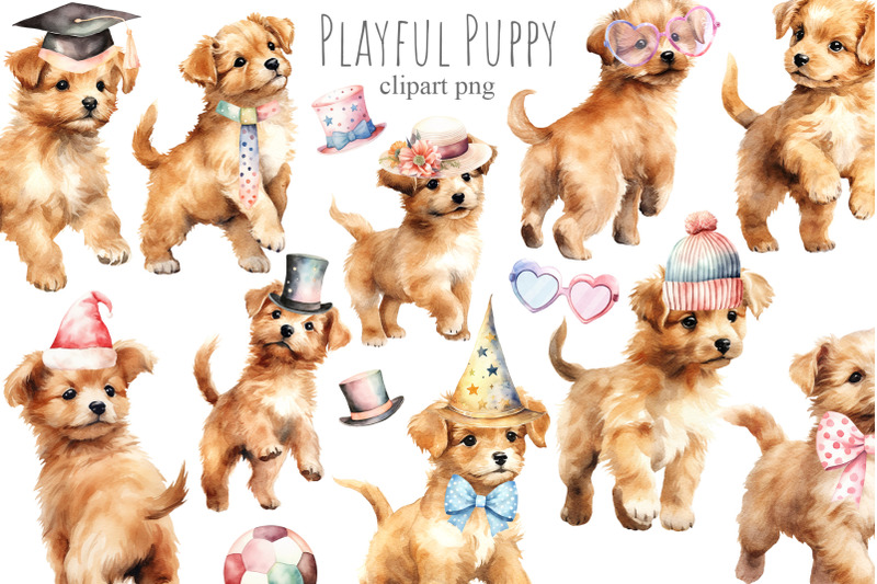 playful-puppy