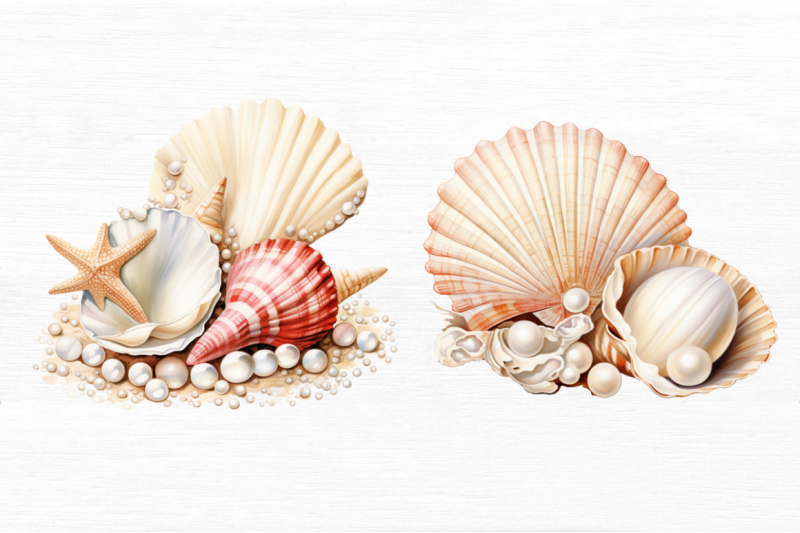 pearl-and-seashells-sublimation-clipart-bundle