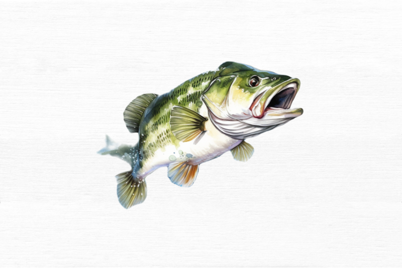 bass-fishing-watercolor-art-clipart-bundle