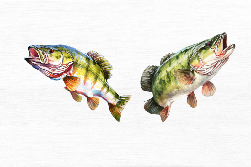 bass-fishing-watercolor-art-clipart-bundle