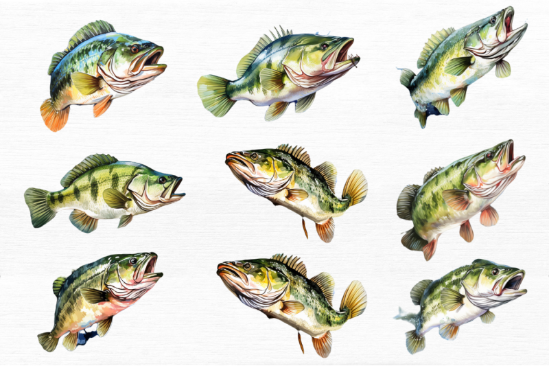 bass-fishing-watercolor-art-clipart-bundle