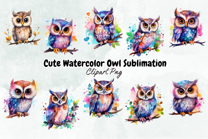 cute-watercolor-owl-sublimation-clipart