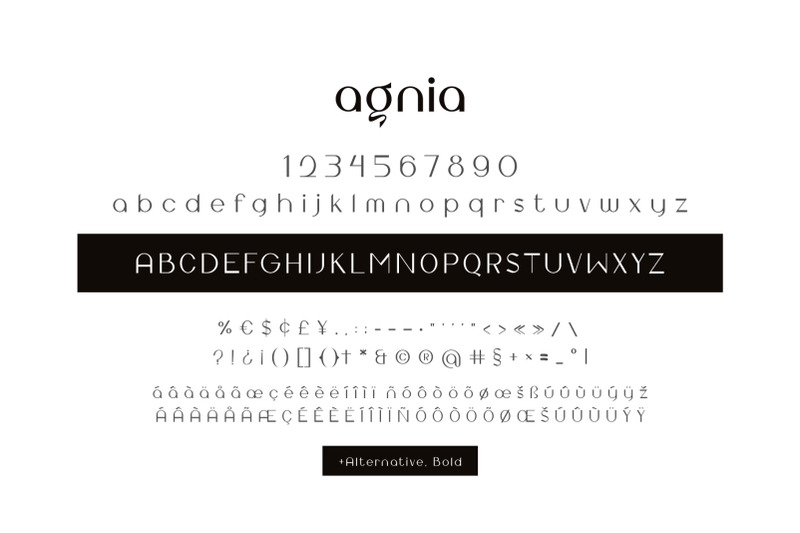 agnia-typeface