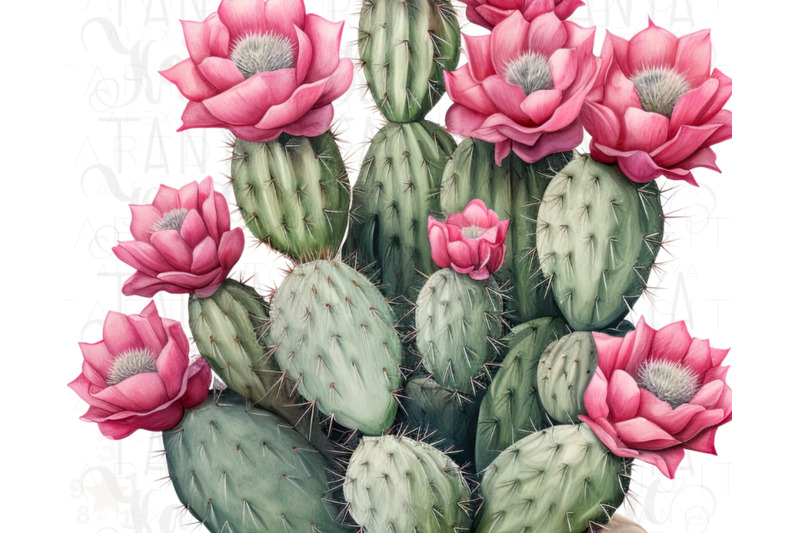 watercolor-cactus-sublimation-download