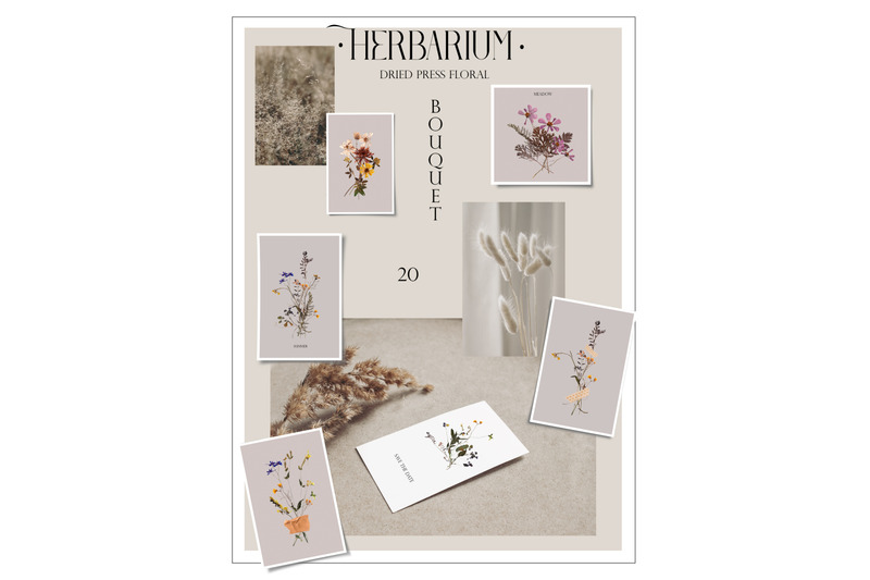 herbarium-dried-press-floral