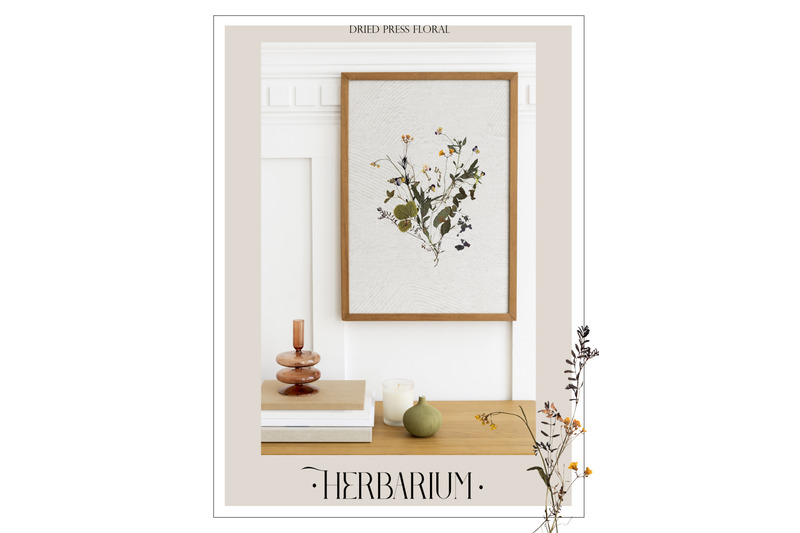 herbarium-dried-press-floral