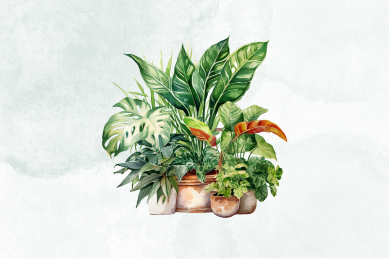 beautiful-houseplants-watercolor-clipart