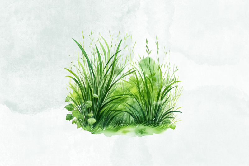 grass-watercolor-sublimation-clipart