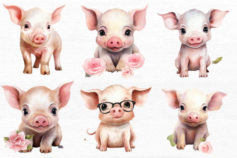 cute-little-pig-watercolor-clipart